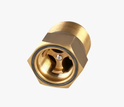Gas check valve