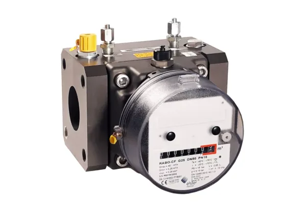 Rotary gas meter